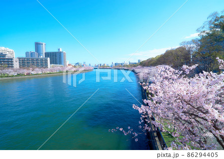 さわやかな朝の大川沿いの桜並木 86294405