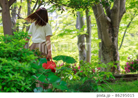公園を散歩している女性　20代 86295015
