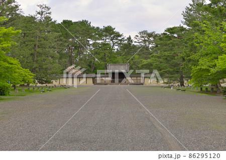 春の終わりに京都仙洞御所の八重桜の満開とモミジの新緑 春の終わりに京都仙洞御所の八重桜の満開とモミジの新緑 86295120