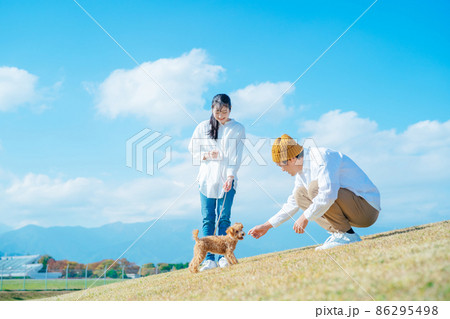 愛犬と遊ぶ男女 86295498