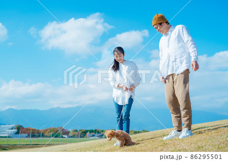 愛犬と遊ぶ男女 86295501