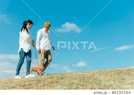 愛犬と遊ぶ男女 86295504