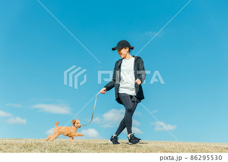 スポーツウェアで犬の散歩をする女性(全身) スポーツウェアで犬の散歩をする女性(全身) 86295530