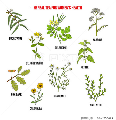 Herbal tea for womens health Herbal tea for womens health 86295583