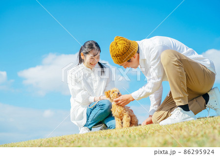 愛犬と遊ぶ男女 86295924