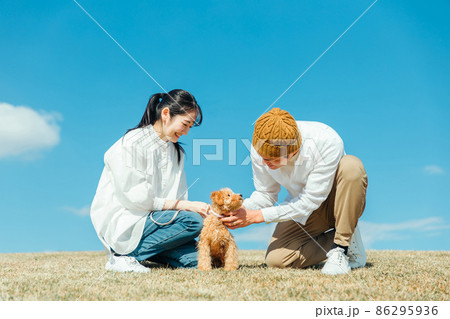 愛犬と遊ぶ男女 愛犬と遊ぶ男女 86295936