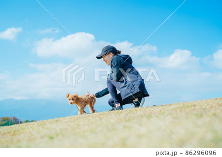 スポーツウェアで犬の散歩をする女性（歩かない） 86296096