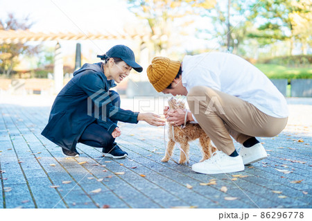 犬の散歩中に挨拶する男女 86296778