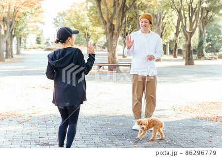 犬の散歩中に挨拶する男女 犬の散歩中に挨拶する男女 86296779