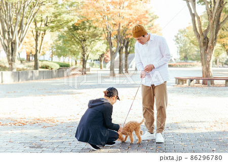 犬の散歩中に挨拶する男女 犬の散歩中に挨拶する男女 86296780