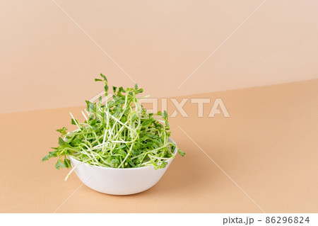 Bowl with peas microgreens on modern color background. Sprouted seeds. Healthy eating sprouts. Bowl with peas microgreens on modern color background. Sprouted seeds. Healthy eating sprouts. 86296824