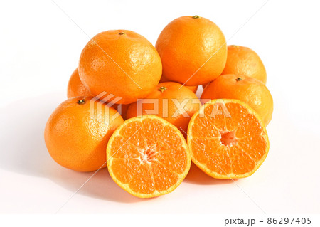 柑橘類（はるみ） 86297405