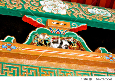 【栃木】春の日光 東照宮の眠り猫(東回廊・潜門) 【栃木】春の日光 東照宮の眠り猫(東回廊・潜門) 86297558