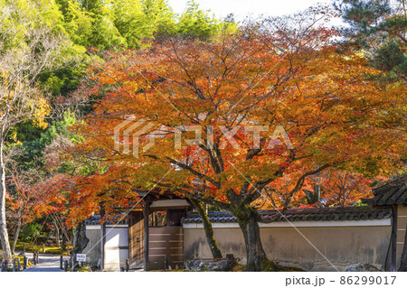 晩秋の高台寺(京都)境内の紅葉 晩秋の高台寺(京都)境内の紅葉 86299017