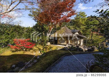 晩秋の高台寺（京都）境内の紅葉　傘亭 86299066