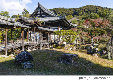 晩秋の高台寺（京都）境内 86299077
