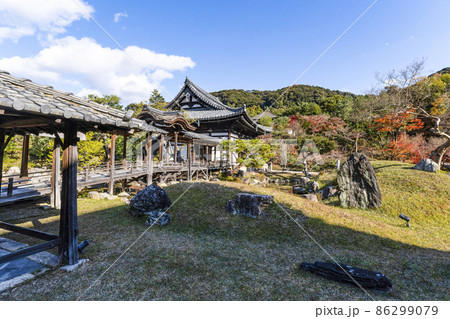晩秋の高台寺（京都）境内 86299079