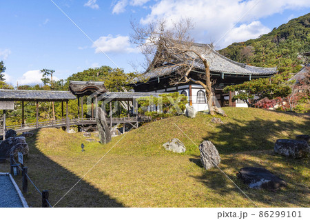 晩秋の高台寺（京都）境内 86299101