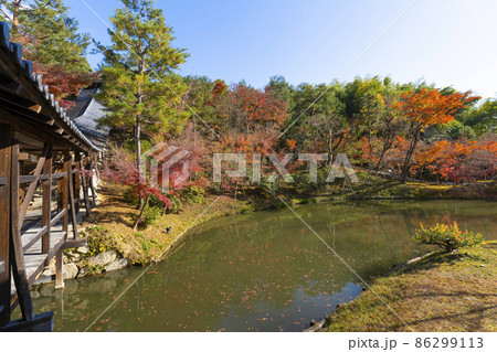 晩秋の高台寺(京都)境内 晩秋の高台寺(京都)境内 86299113