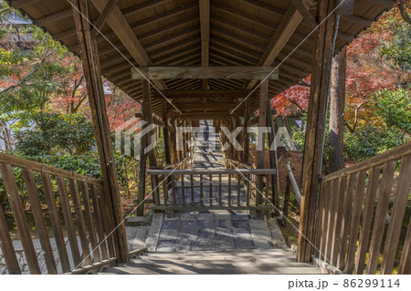 晩秋の高台寺（京都）臥龍廊 86299114