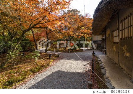 晩秋の高台寺（京都）境内 86299138