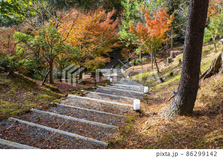 晩秋の高台寺(京都)境内 晩秋の高台寺(京都)境内 86299142