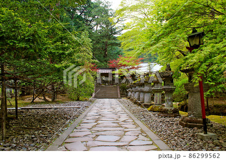 【栃木】春の日光山輪王寺大猷院 龍光院前の厳かな雰囲気 【栃木】春の日光山輪王寺大猷院 龍光院前の厳かな雰囲気 86299562