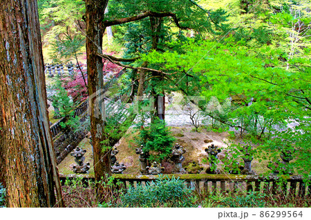 【栃木】春の日光山輪王寺　石の灯篭が並ぶ大猷院の厳かな境内 86299564