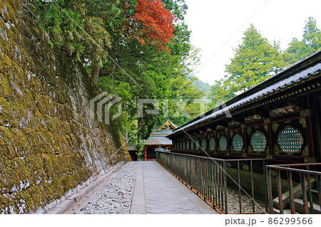 【栃木】春の日光山輪王寺大猷院　皇嘉門前の石畳と拝殿・相の間・本殿を囲う塀 86299566