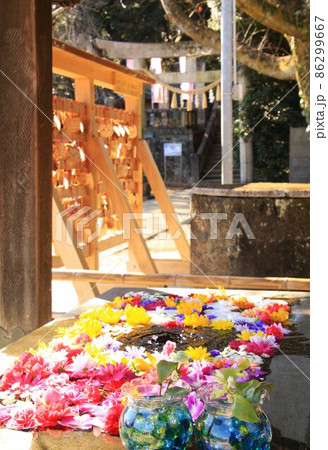 花のある神社の風景 86299667