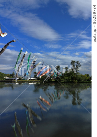 青空と鯉のぼり 86299734