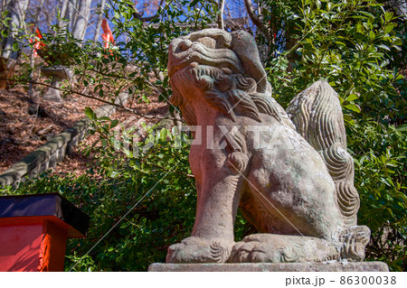 鼻面稲荷神社狛犬吽 鼻面稲荷神社狛犬吽 86300038