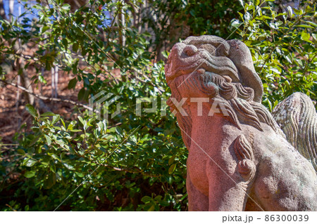 鼻面稲荷神社狛犬右側吽 86300039