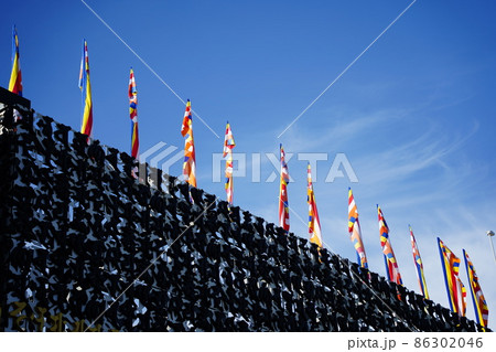 晴天の成田山・深川不動堂（門前仲町）成田山新勝寺 86302046