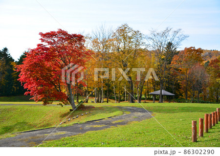 水源の森百選~北海道立道民の森 水源の森百選~北海道立道民の森 86302290