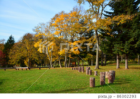 水源の森百選~北海道立道民の森 水源の森百選~北海道立道民の森 86302293