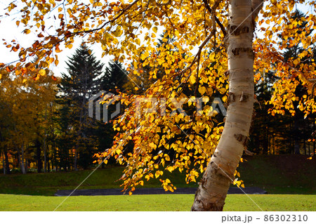 水源の森百選～北海道立道民の森 86302310