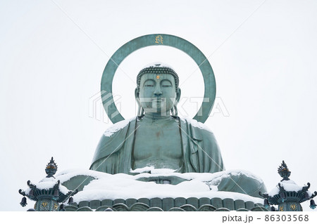 富山県　高岡大仏 86303568