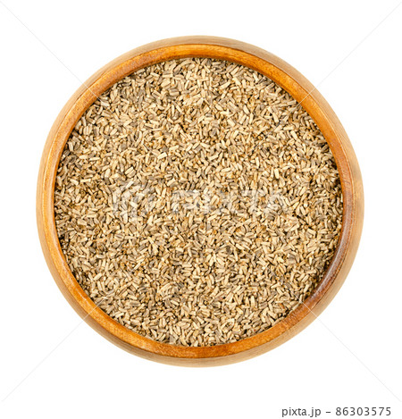 Common chicory seeds, in a wooden bowl. Cichorium intybus, plant of daisy family Asteraceae, with blue flowers. Seeds for growing microgreens, or cultivating salad leaves and chicons (blanched buds). 86303575