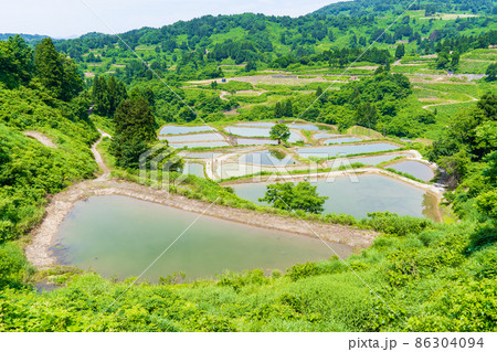 新潟県　長岡市山古志の棚田、棚池 86304094