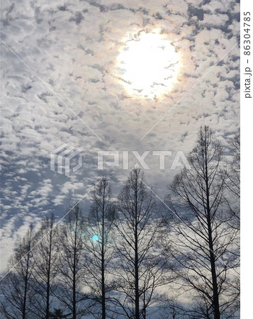 冬の朧雲の陽光　　　　～Sunlight of the hazy clouds in winte～ 86304785