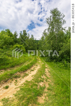countryside dirt road in to the forest. green nature landscape in summer. grass on the meadow by the road. beautiful scene of natural park in summer. sky with clouds on a sunny day 86305418