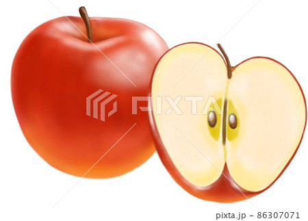 りんごと半分カットのりんご 86307071