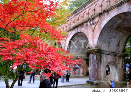 紅葉と水路閣 紅葉と水路閣 86308647