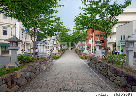 鎌倉 鶴岡八幡宮 若宮大路 86308692