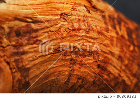 Natural Bonsai snag trunk close-up wood texture 86309333