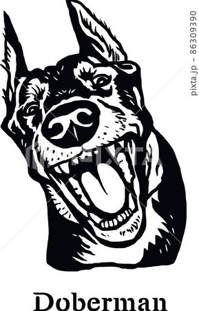 Doberman - Funny Dog, Vector File, Cut Stencil for Tshirt 86309390