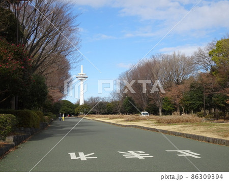 埼玉県所沢市 所沢航空記念公園 飛行場跡地 86309394