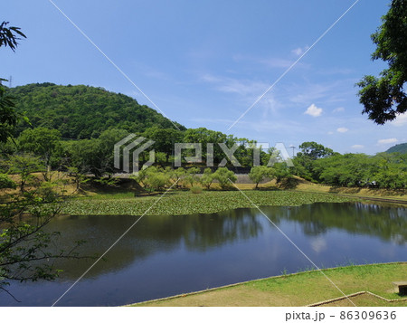 王子池(愛媛県西予市宇和運動公園) 王子池(愛媛県西予市宇和運動公園) 86309636