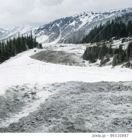 Panoramic Winter Landscape With Snow Covered Mountains And Pine Trees 86310887